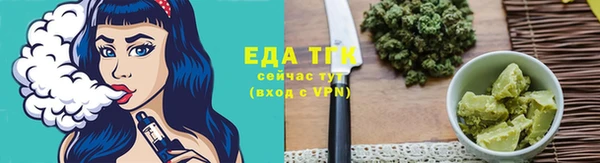 гидра Бердск