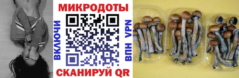 Купить где  Выкса  Псилоцибиновые грибы прущие грибы 